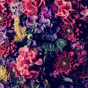 Meet your Posher, Kat